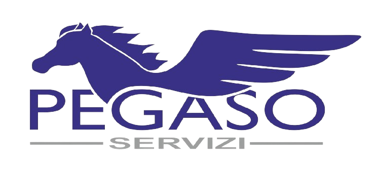 Pegaso Servizi